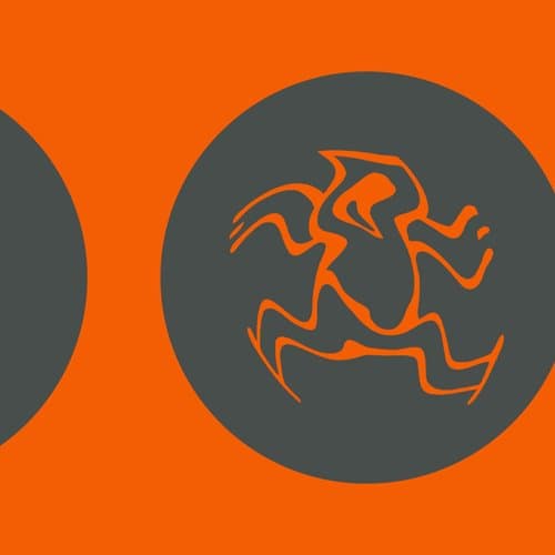 Stranger (Luis Junior Remix)