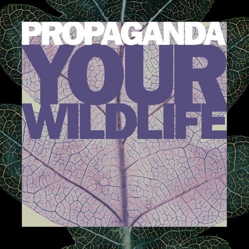 Your Wildlife (Wilderness Mix)