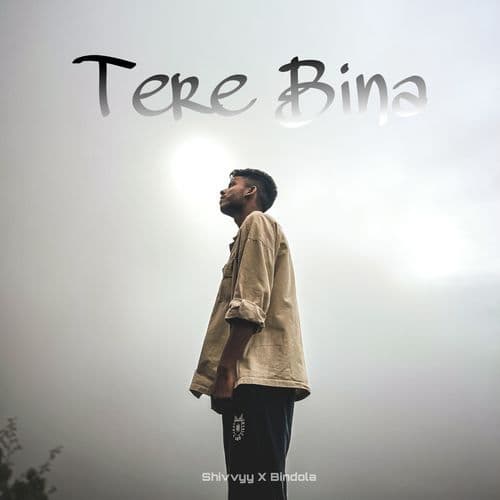Tere Bina