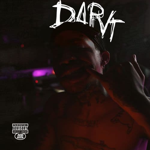 DARK (The Remixes)
