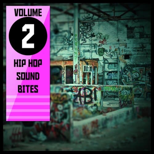 Hip Hop Sound Bites,Vol.2