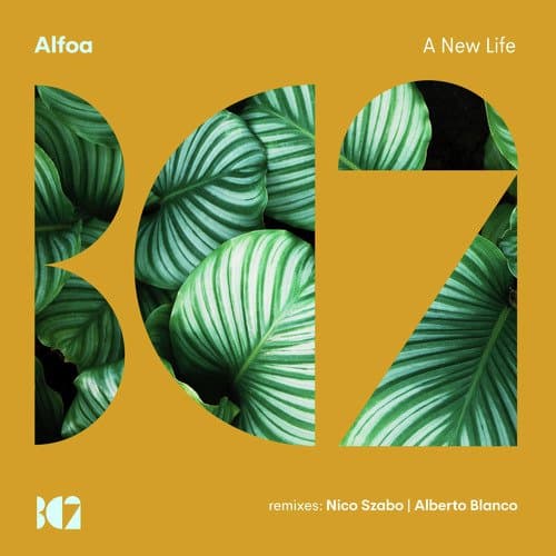 A New Life (Nico Szabo Remix)