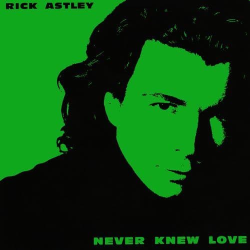 Never Knew Love (Remastered 2024)