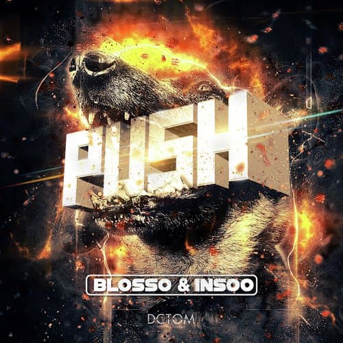 Push (VIP Hardstyle Mix)