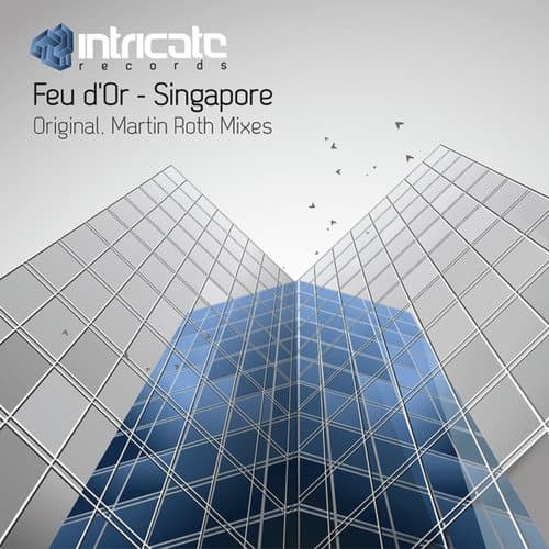 Singapore (Martin Roth Remix)