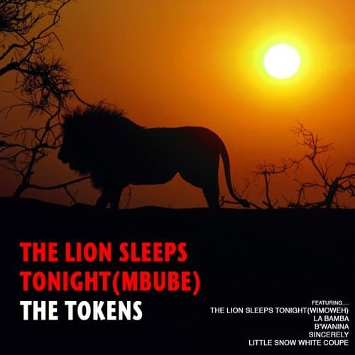 The Lion Sleeps Tonight (Wimoweh)