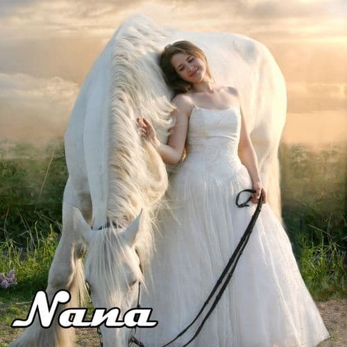 Welcome to the Jungle