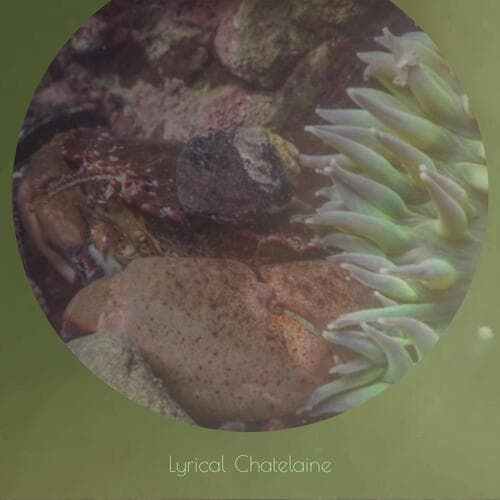 Goody-goody Lifestyle