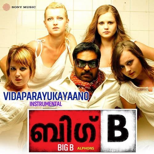 Vidaparayukayaano (Instrumental)