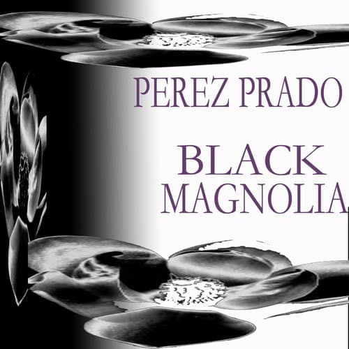 Black Magnolia