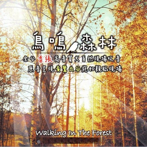 Birds Sound Chorus (二) 鳥聲合唱(二) (聆聽大自然的音韻 眾鳥和鳴)