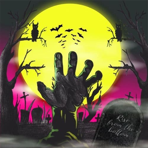 Rise from the Bottom