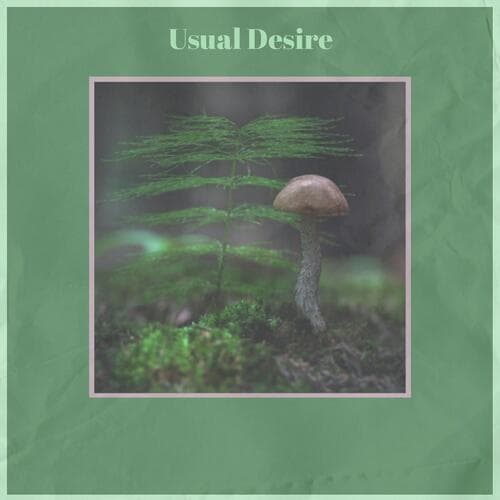 Usual Desire