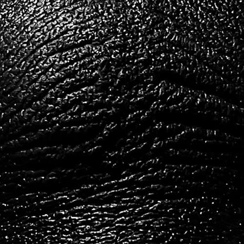 The Dream of Misanthropic Kid