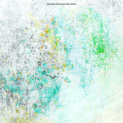 Splish Splash (Remastered)