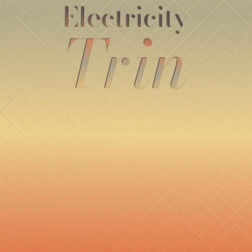 Electricity Trin