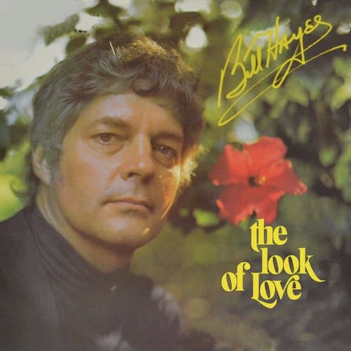 Another Night in a Lovely Town