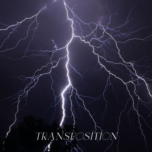 Transposition (交錯)