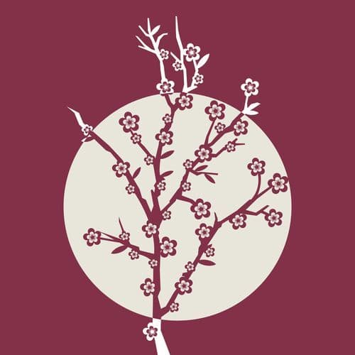 天天發大財 (8個老闆) (EDM)