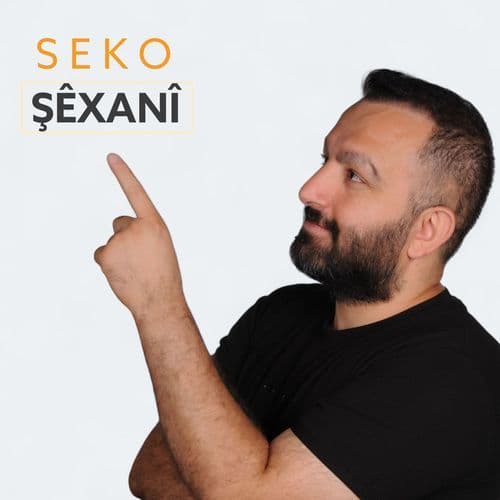 Şêxanî (Live)