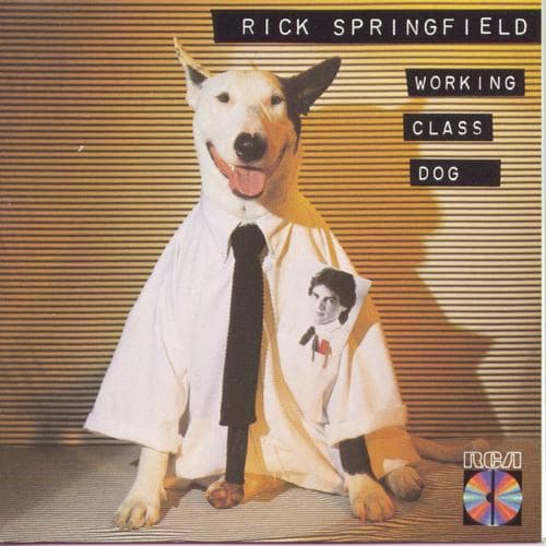 Rick Springfield