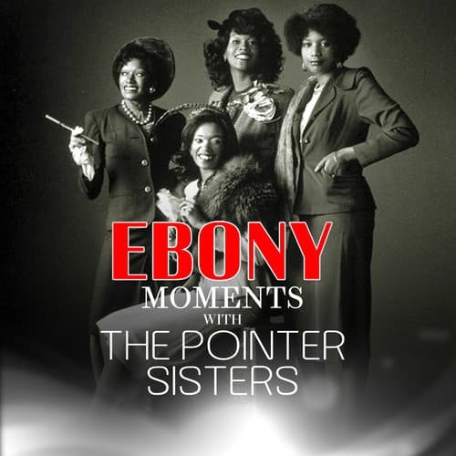 Pointer Sisters Interview