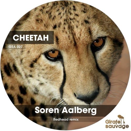 Cheetah (Redhead Remix)