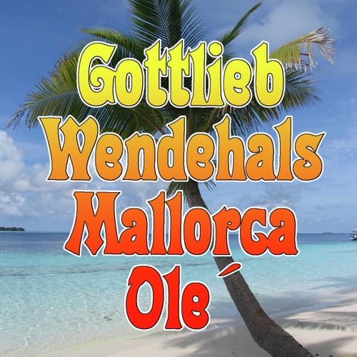 Ich will Heim zum Ballerman