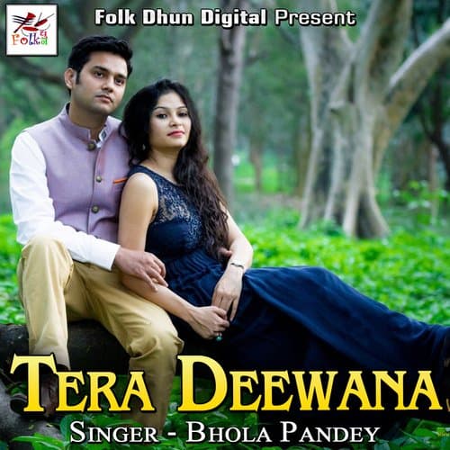 Tera Deewana