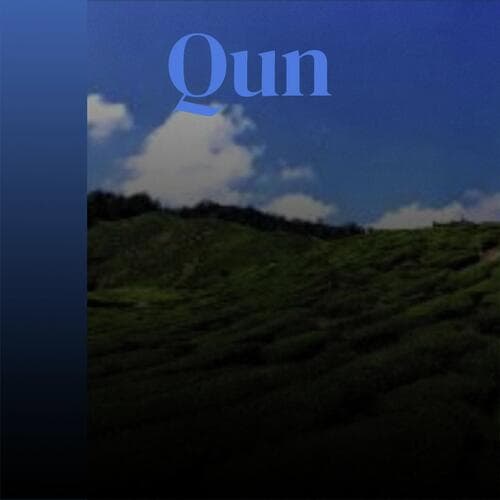 Qun