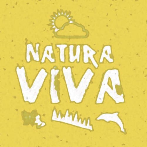 Old Class (Jerome Robins Vs. Deko-Ze Jungle Funk Mix)