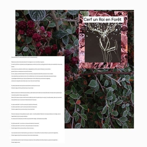 Cerf un Roi en Forêt