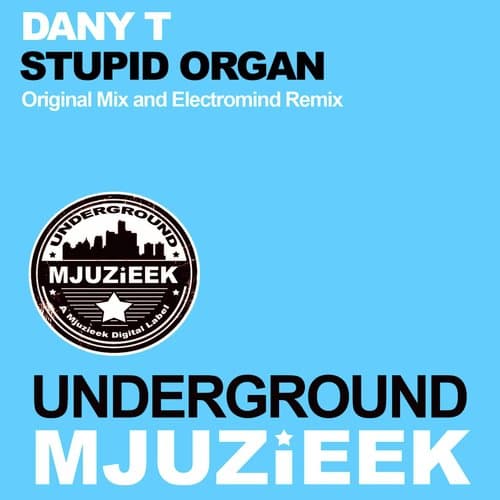 Stupid Organ (Original Mix)