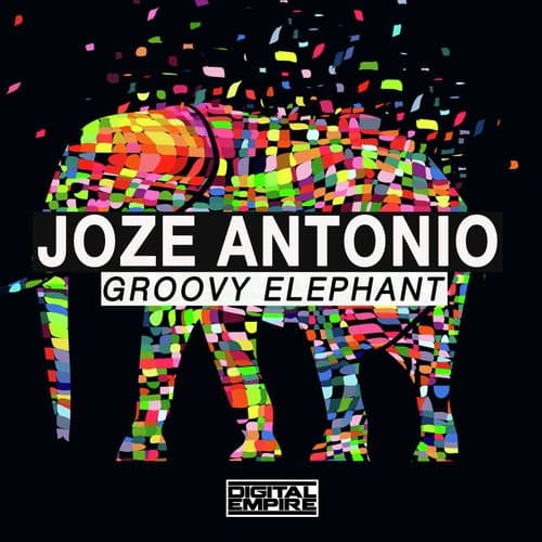 Groovy Elephant (Original Mix)