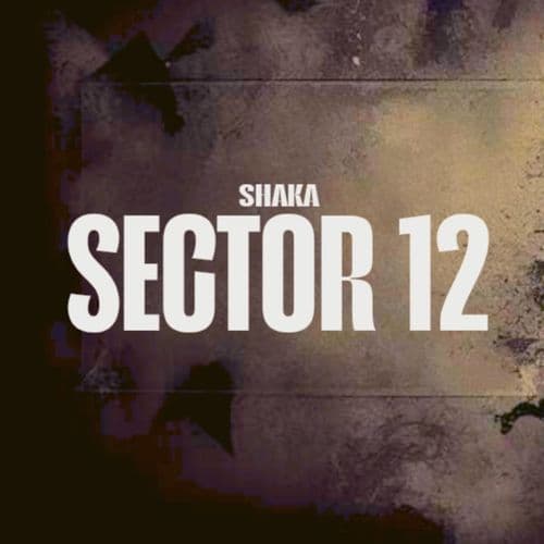 SECTOR 12