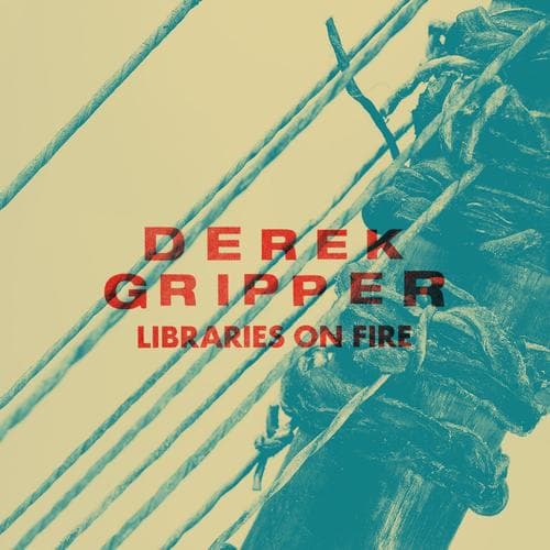 Derek Gripper