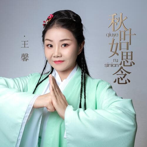 秋叶如思念 (DJ默涵版)