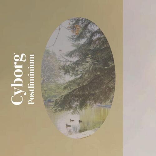 Cyborg Postliminium