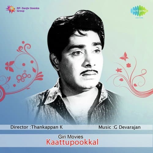Kaattupookkal