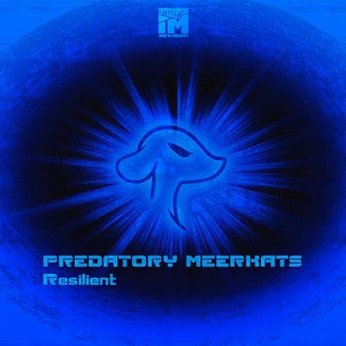 Ragged (Original Mix)