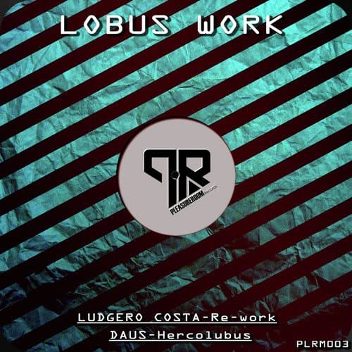 Lobus Work