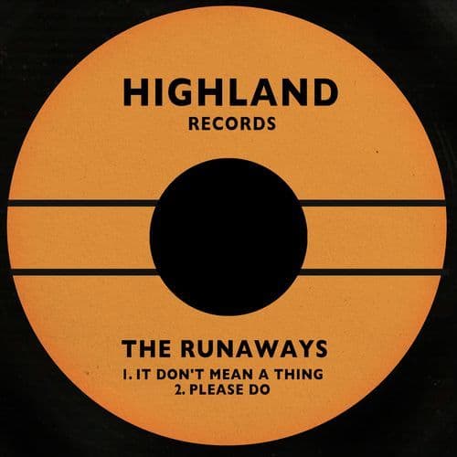 It Don't Mean A Thing / Please Do