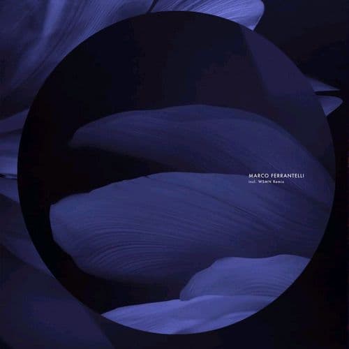 Scimmia Magnetica (Original Mix)