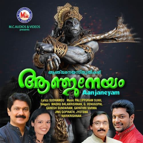 Naarada maamunithan