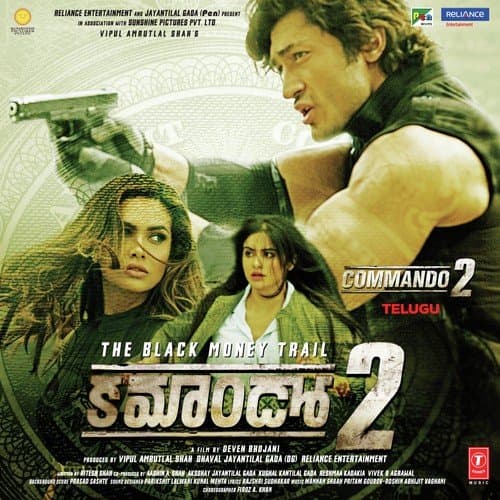 Commando 2
