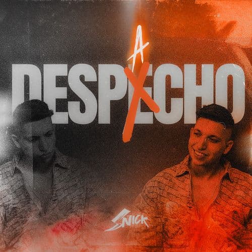 DESPACHO
