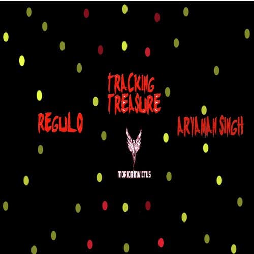 Tracking Treasure (Original Mix)