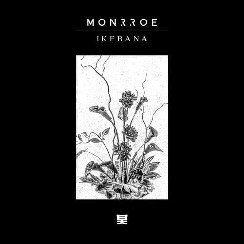 Ikebana (Continuous Mix)