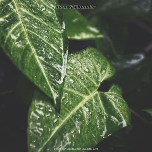 Rain & Thunder