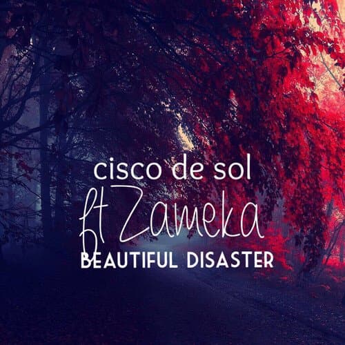 Beautiful Disaster